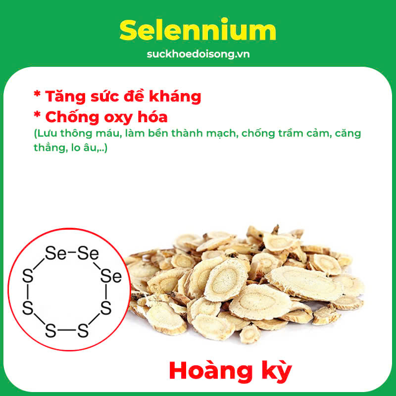 Thành phần hoá học An thần bổ tâm