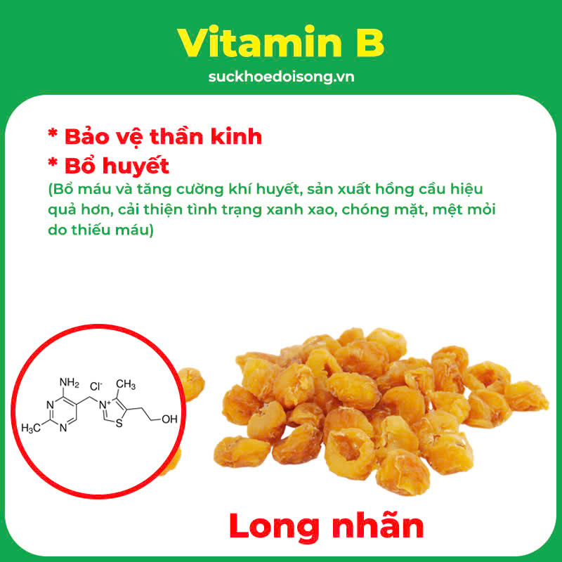 Thành phần hoá học An thần bổ tâm