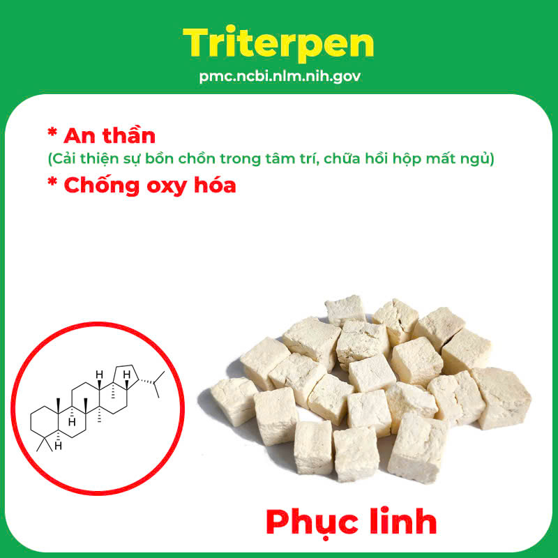 Thành phần hoá học An thần bổ tâm