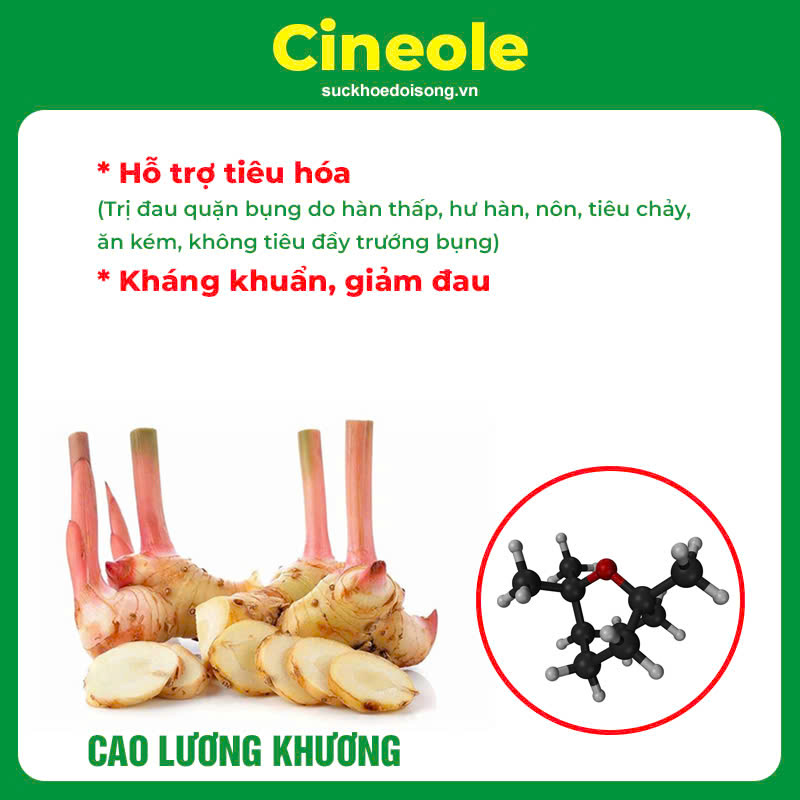 Thành phần hoá học Dạ dày