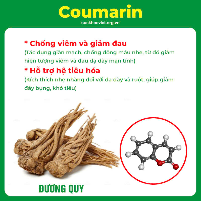 Thành phần hoá học Dạ dày

