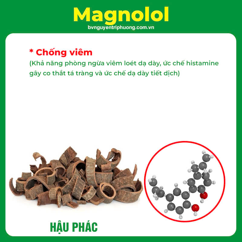 Thành phần hoá học Dạ dày