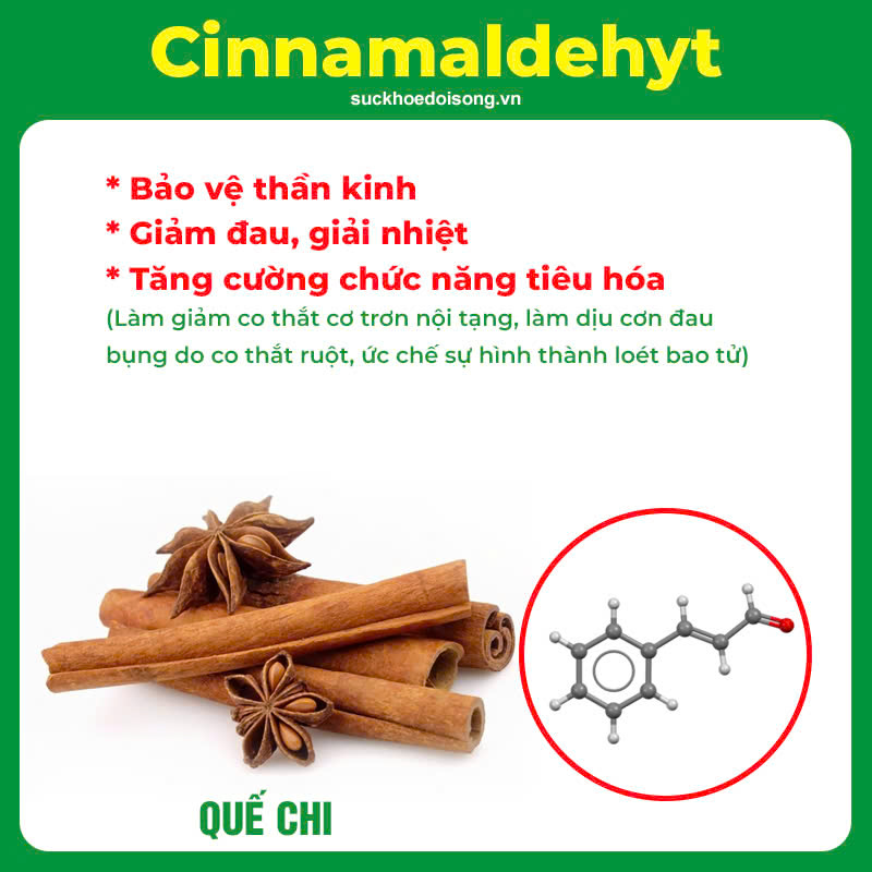 Thành phần hoá học Dạ dày
