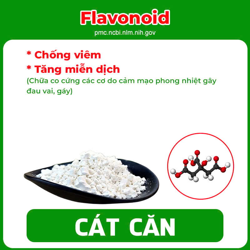 Thành phần hoá học Dưỡng cốt 