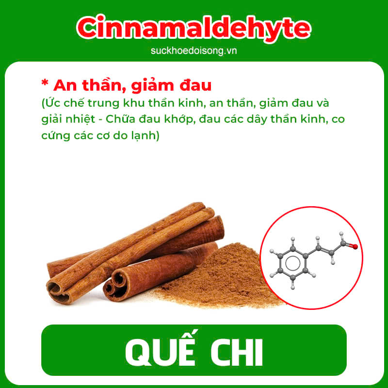 Thành phần hoá học Dưỡng cốt 