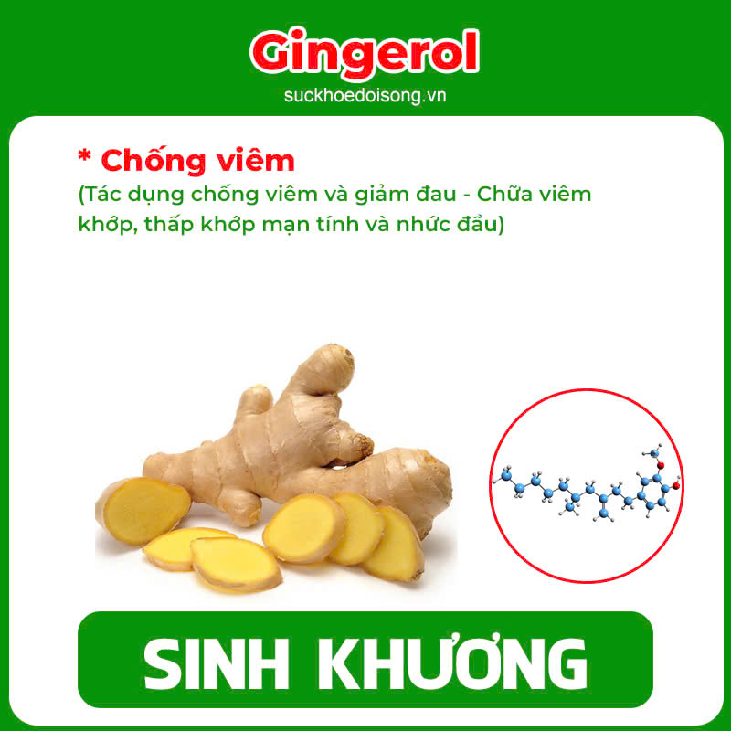 Thành phần hoá học Dưỡng cốt 