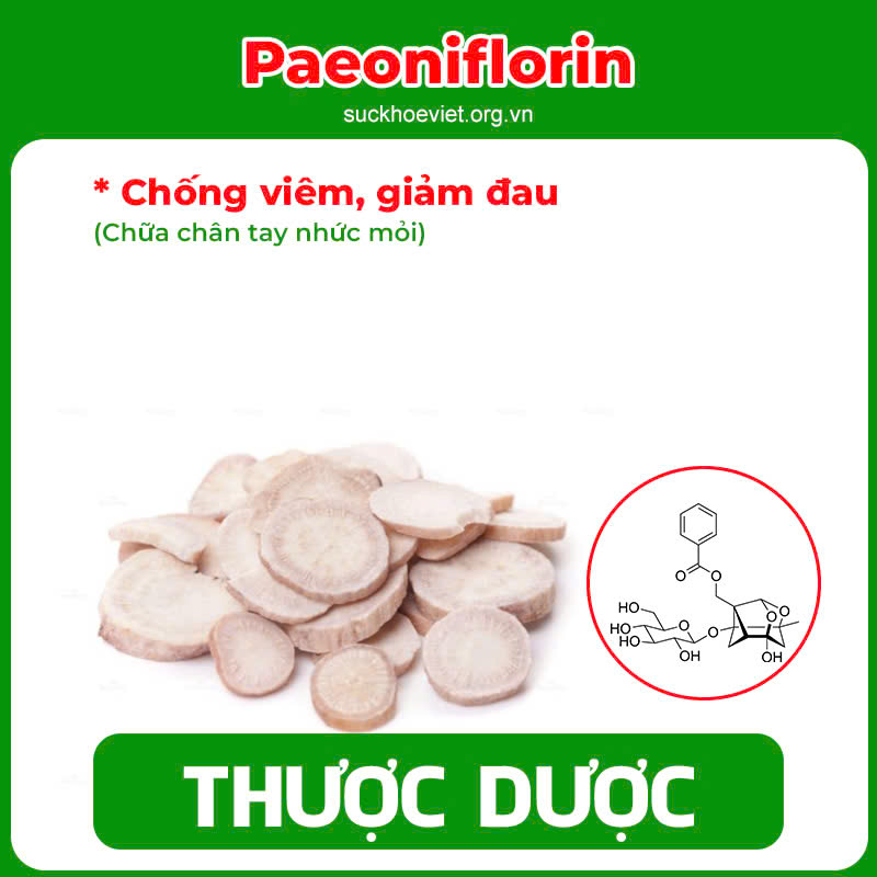 Thành phần hoá học Dưỡng cốt 