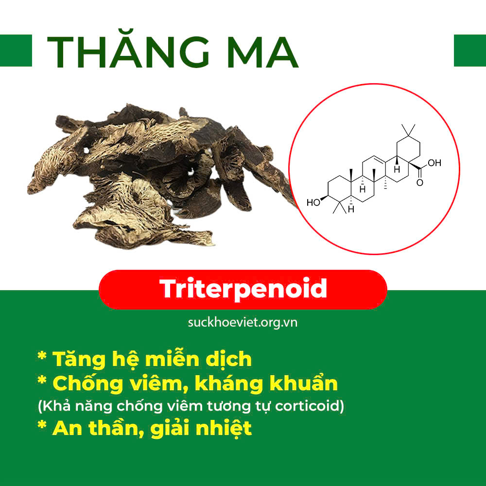 Thành phần hoá học Ích Khí hăng Dương 