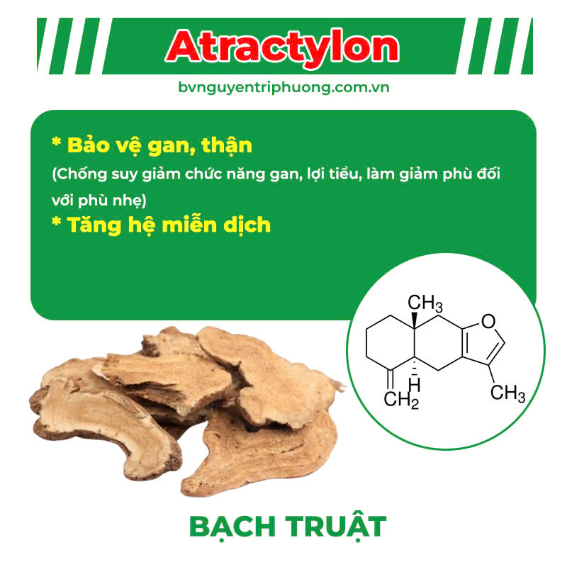 Thành phần hoá học Mát Gan ống