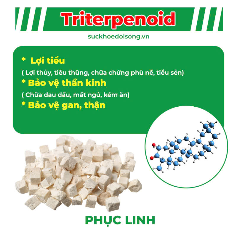 Thành phần hoá học Mát Gan ống