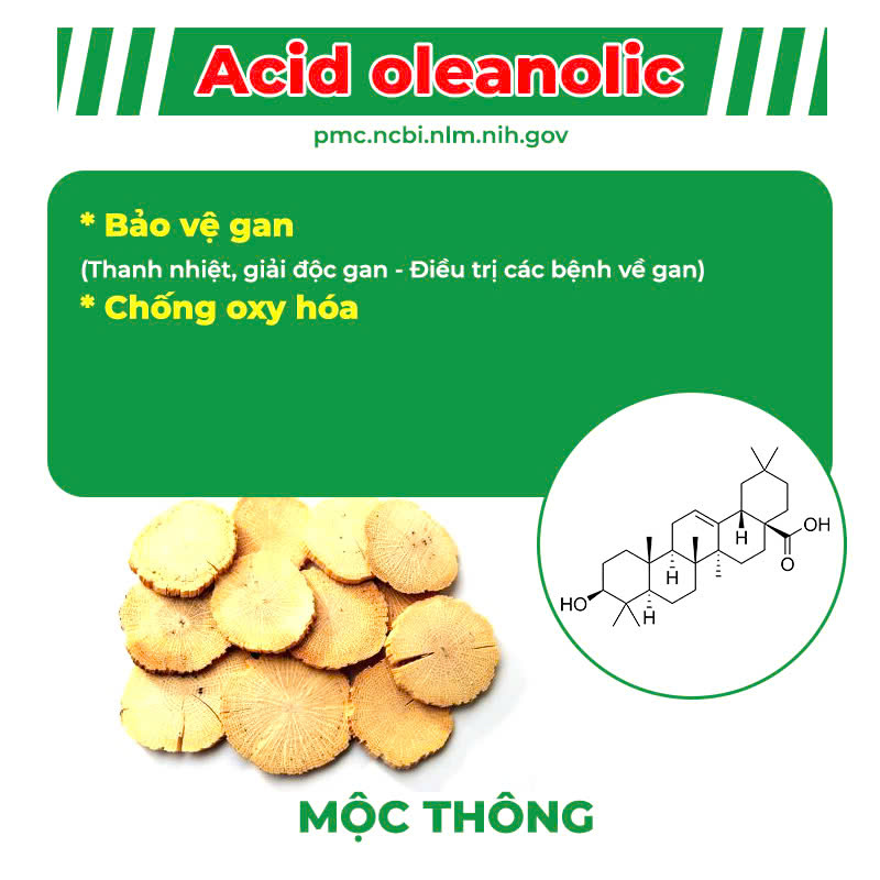 Thành phần hoá học Mát Gan ống