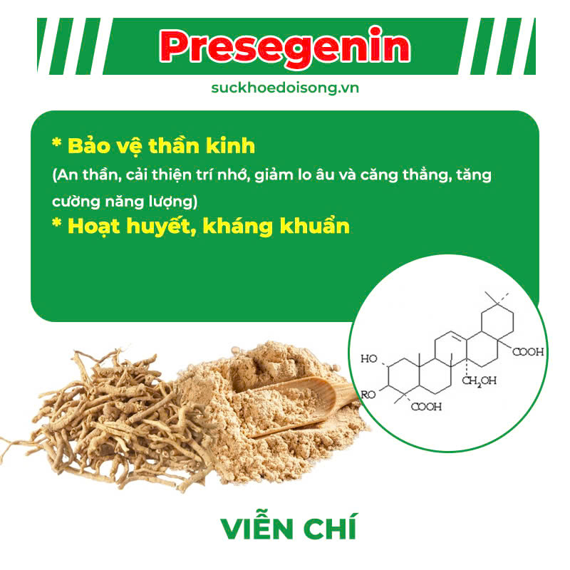 Thành phần hoá học Mát Gan ống