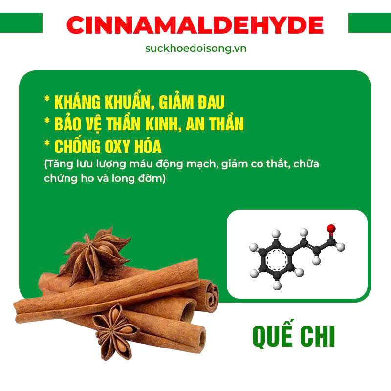 Thành phần hoá học Phế quản viên nang 