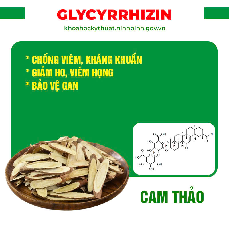 Thành phần hoá học Phế quản viên nang 