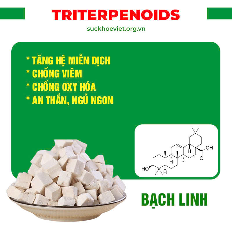 Thành phần hoá học Phế quản viên nang