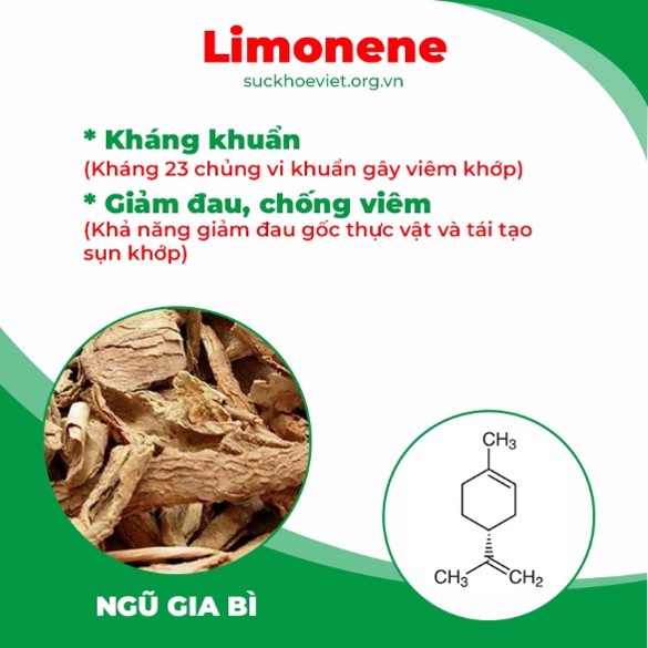 Thành phần hoá học Thiên niên kiện 