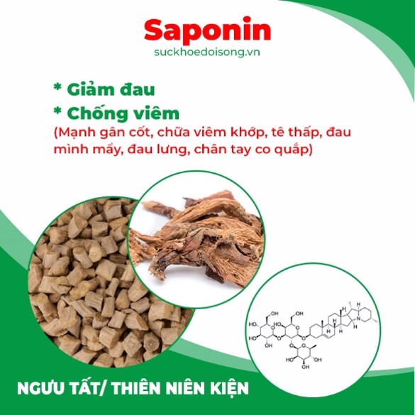 Thành phần hoá học Thiên niên kiện 