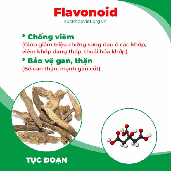 Thành phần hoá học Thiên niên kiện 