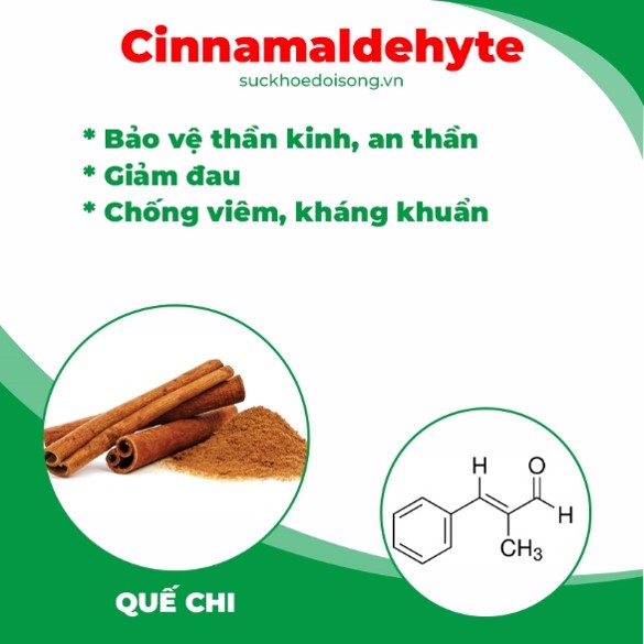 Thành phần hoá học Thiên niên kiện 