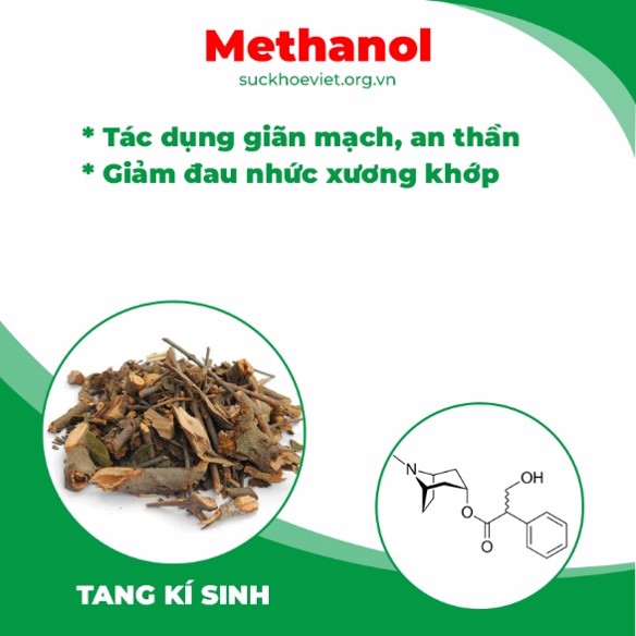 Thành phần hoá học Thiên niên kiện 