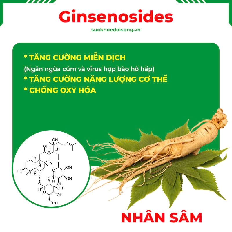 Thành phần hoá học Thuốc hen trẻ em