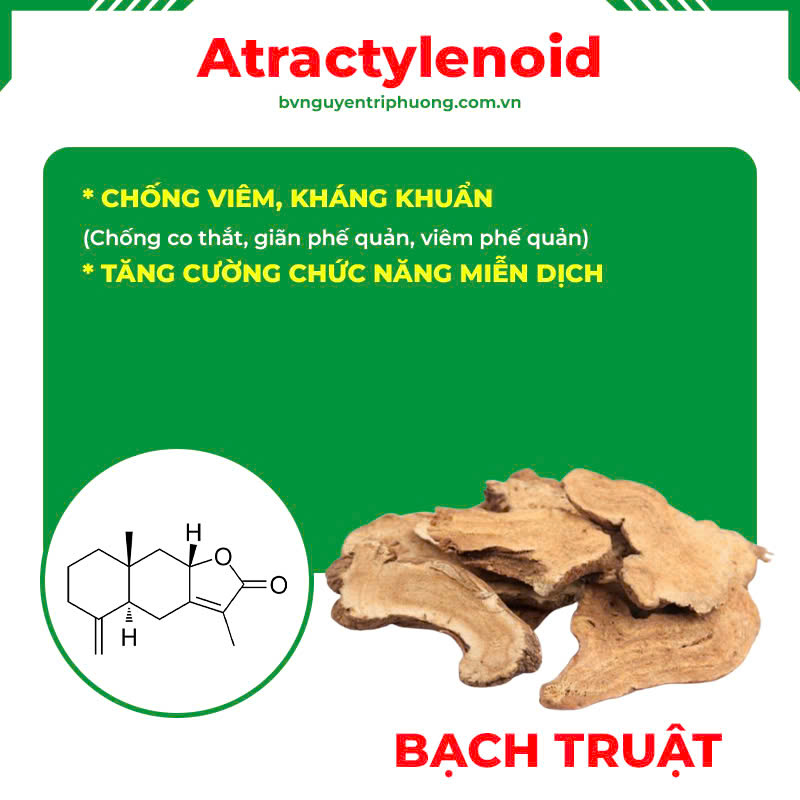 Thành phần hoá học Thuốc hen trẻ em