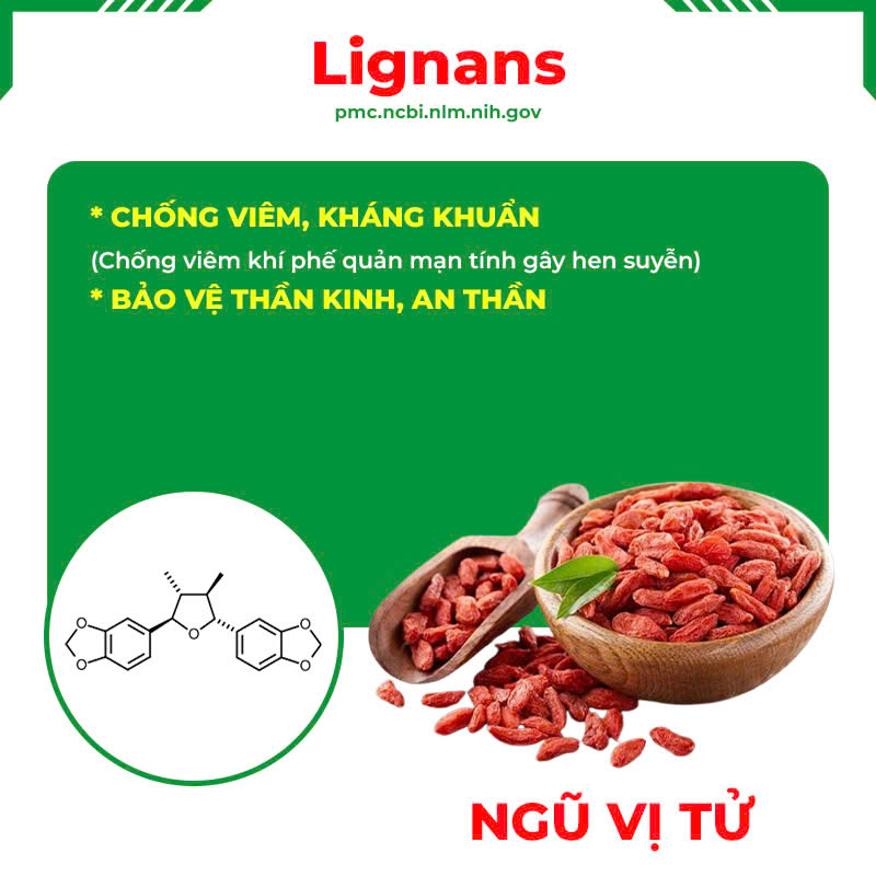 Thành phần hoá học Thuốc hen trẻ em