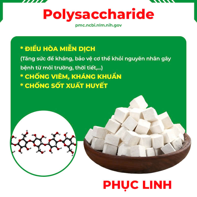 Thành phần hoá học Thuốc hen trẻ em
