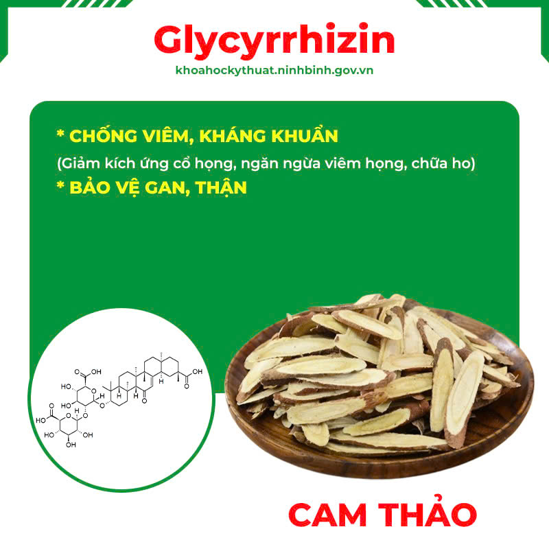 Thành phần hoá học Thuốc hen trẻ em