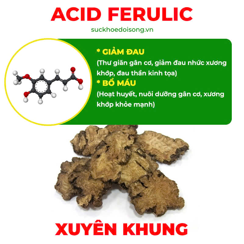 Thành phần hoá học Xương khớp viên nang 