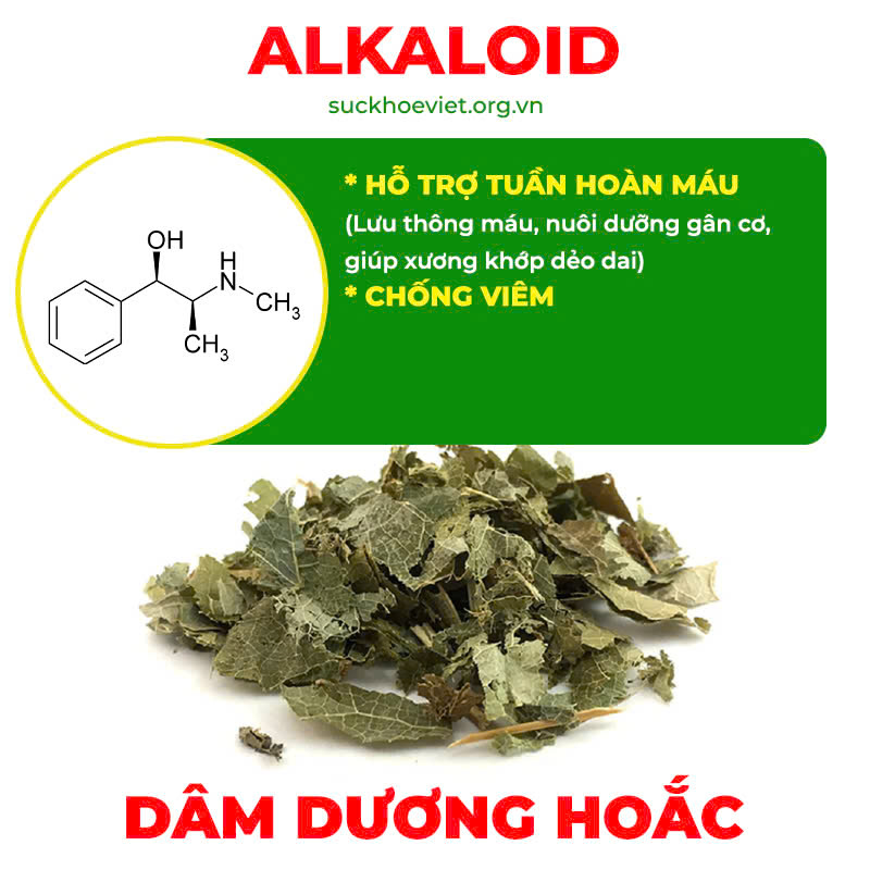 Thành phần hoá học Xương khớp viên nang