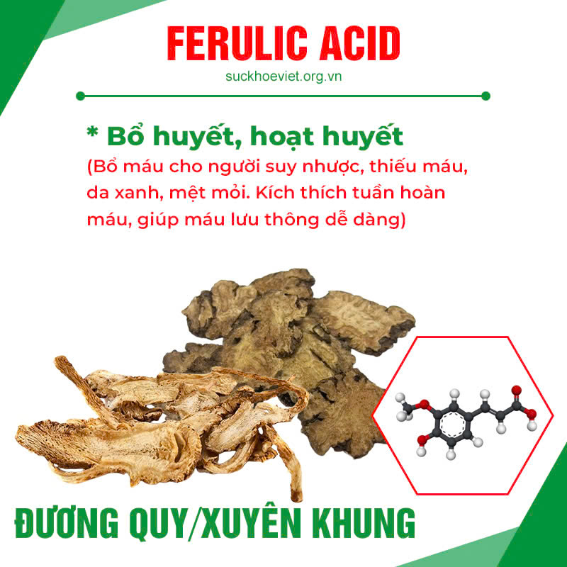 Thành phần hoá học hoạt huyết dưỡng não 