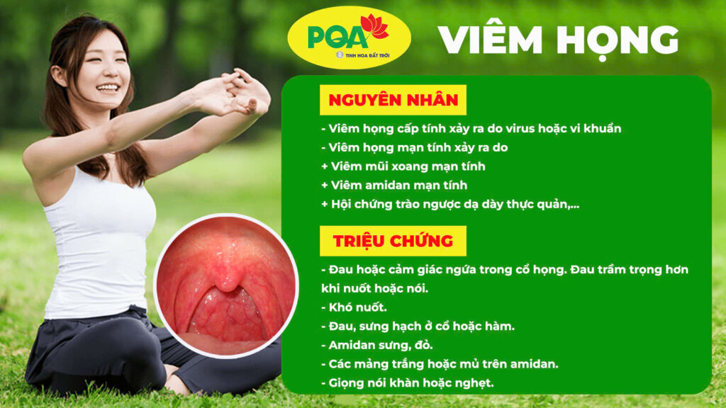 Nguyên nhân và triệu chứng PQA dùng cho người bị ho