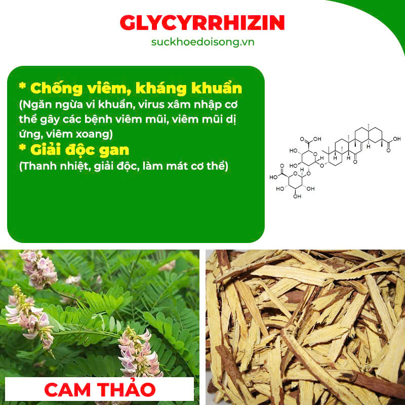 Thành phần hoá học Hoàng Cầm