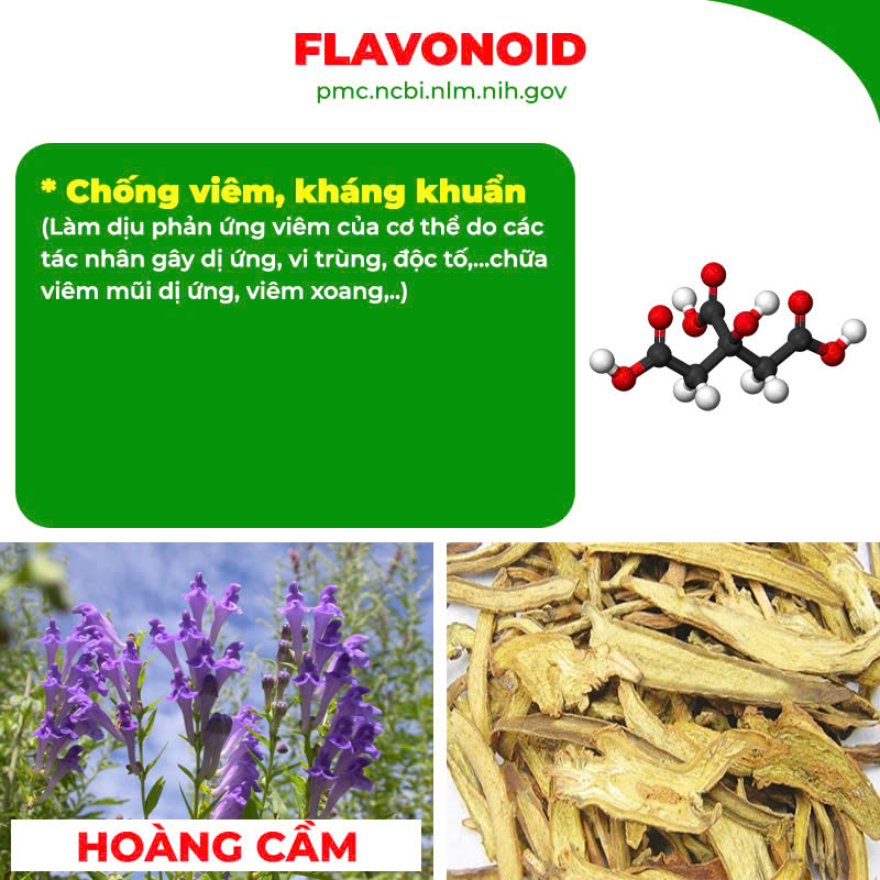 Thành phần hoá học Hoàng Cầm