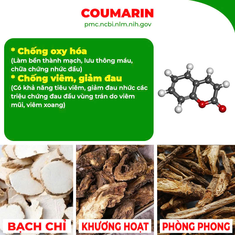 Thành phần hoá học Hoàng Cầm