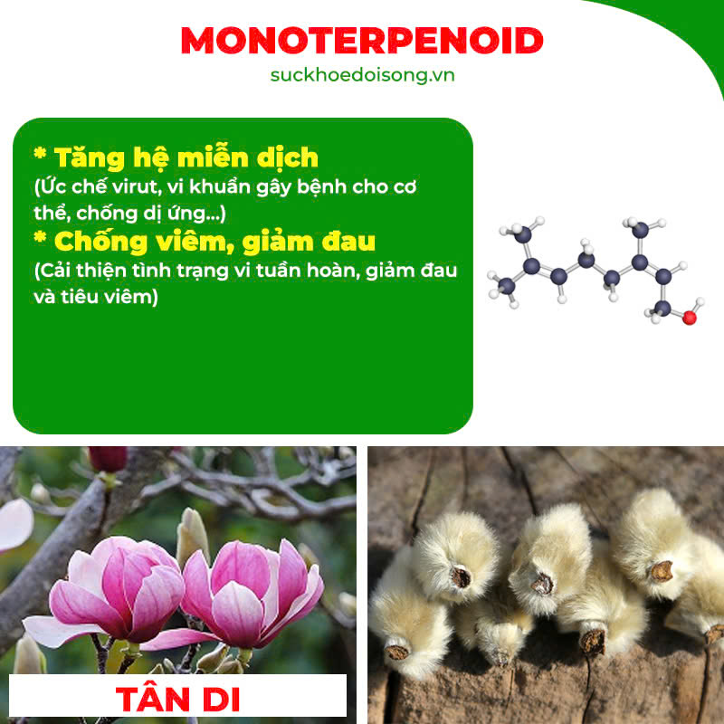Thành phần hoá học Hoàng Cầm