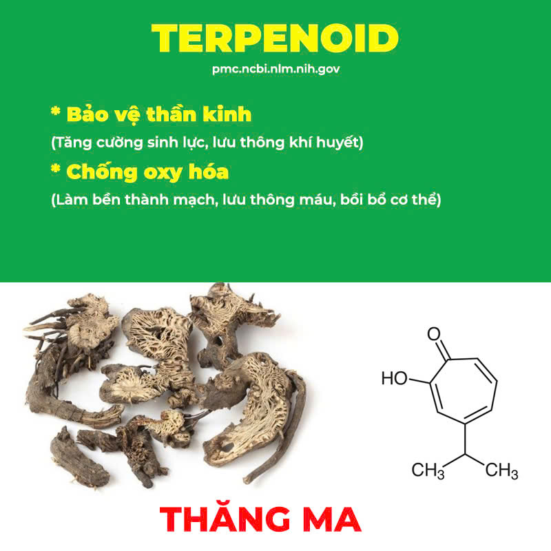 Thành phần hoá học Hoàng Kỳ