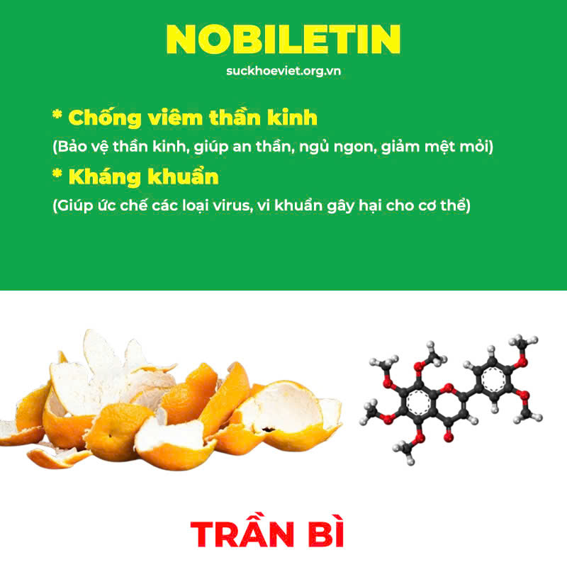 Thành phần hoá học Hoàng Kỳ