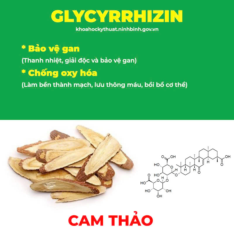Thành phần hoá học Hoàng Kỳ