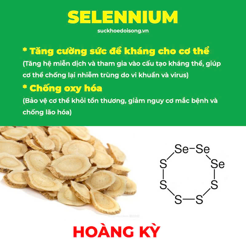 Thành phần hoá học Hoàng Kỳ