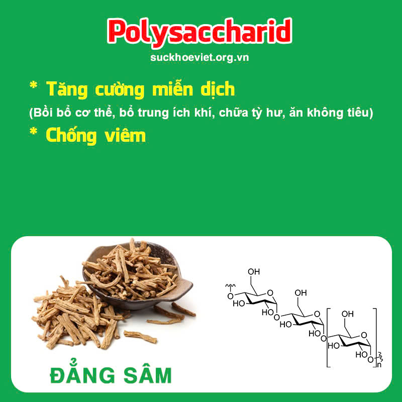 Thành phần hoá học Hương sa lục quân