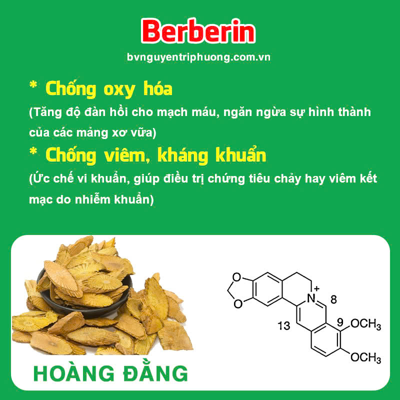 Thành phần hoá học Hương sa lục quân