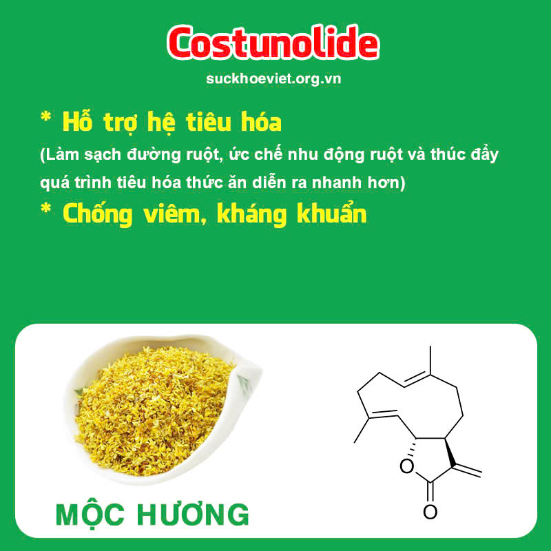 Thành phần hoá học Hương sa lục quân
