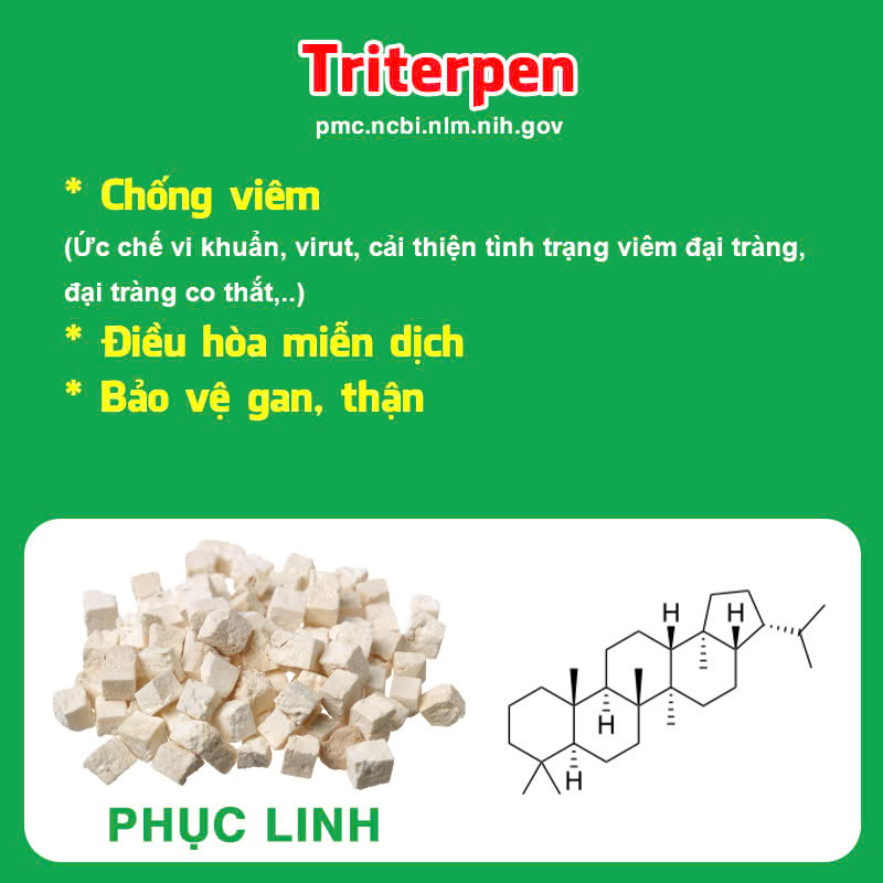 Thành phần hoá học Hương sa lục quân