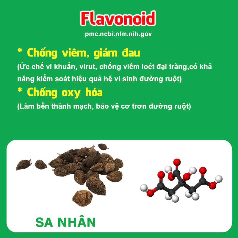 Thành phần hoá học Hương sa lục quân