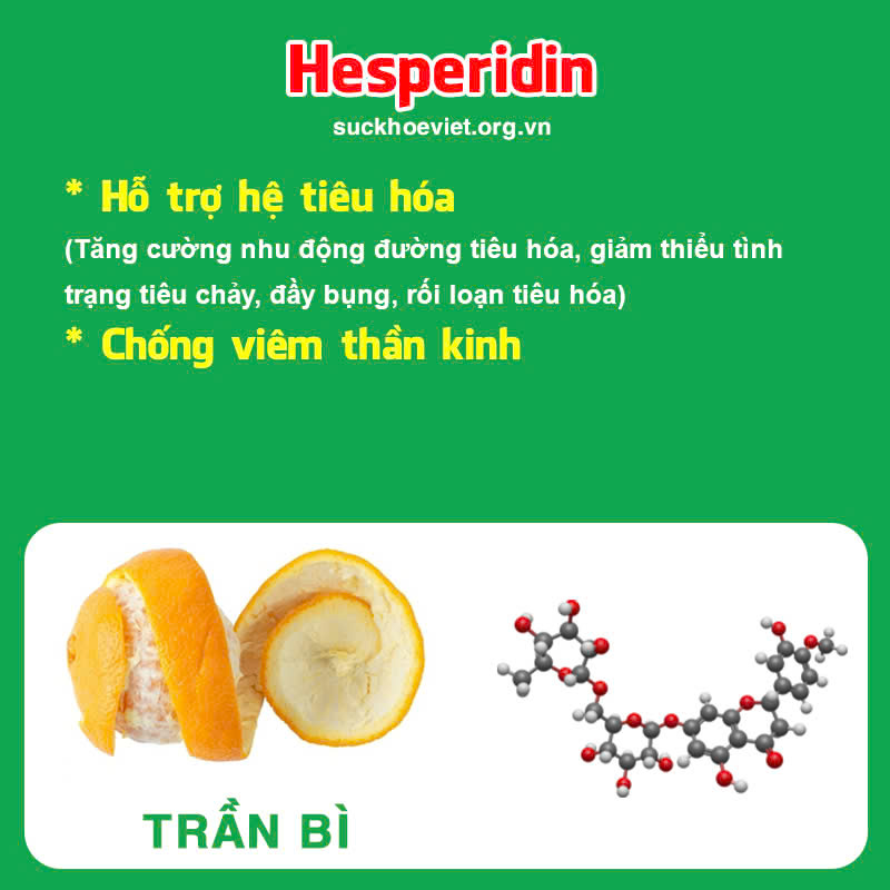 Thành phần hoá học Hương sa lục quân