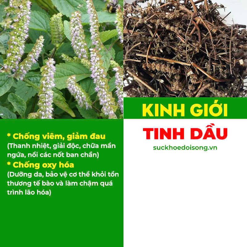 Thành phần hoá học Kim Ngân Phong 