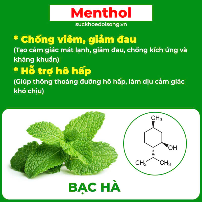 Thành phần hoa học PQA dùng cho người bị ho