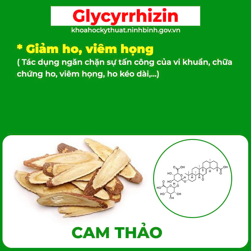 Thành phần hoa học PQA dùng cho người bị ho